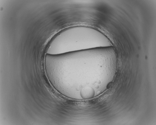 X0000076300347200609290734