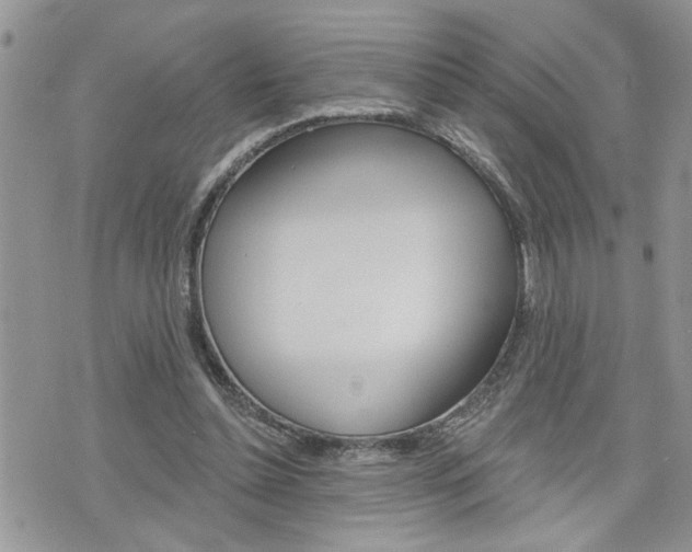 X0000076300348200609290734