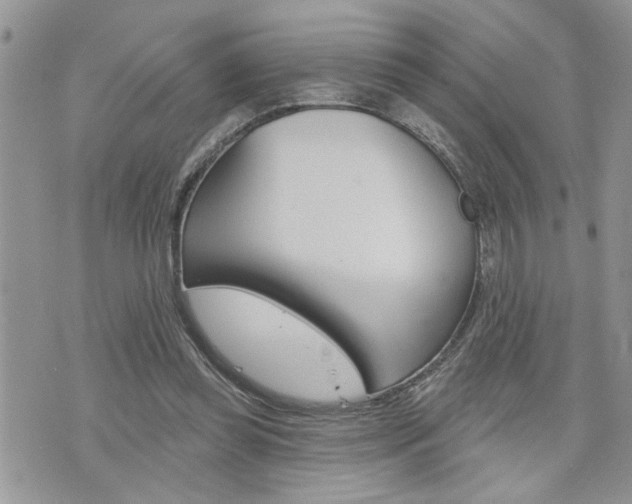 X0000076300349200609290734