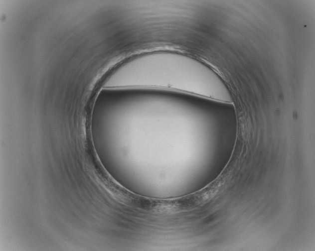 X0000076300350200609290734