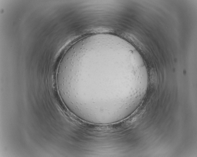 X0000076300351200609290734