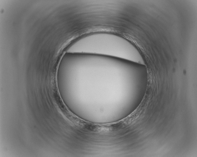 X0000076300352200609290734