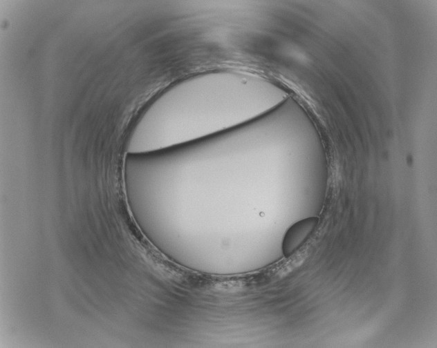 X0000076300353200609290734