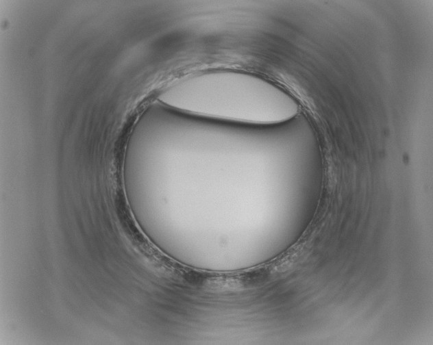 X0000076300354200609290735