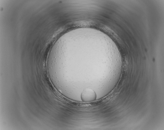 X0000076300355200609290735