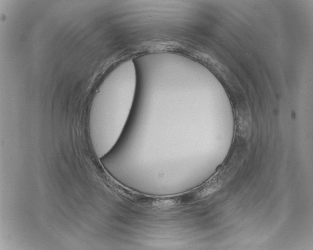 X0000076300357200609290735