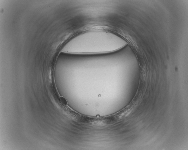 X0000076300358200609290735