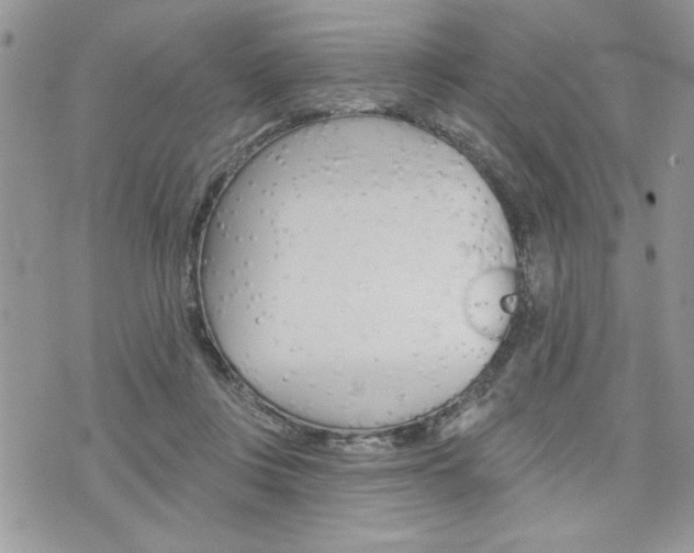 X0000076300359200609290735