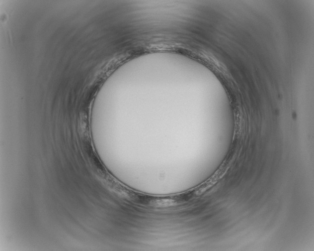 X0000076300361200609290735