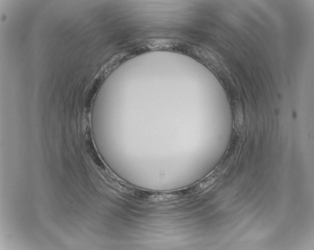 X0000076300367200609290735