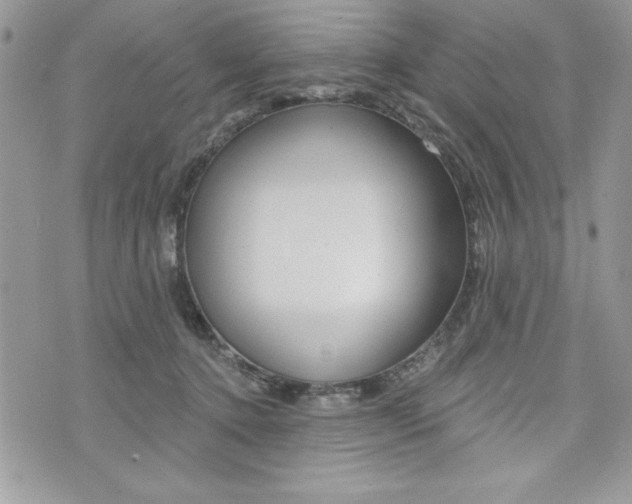 X0000076300368200609290735