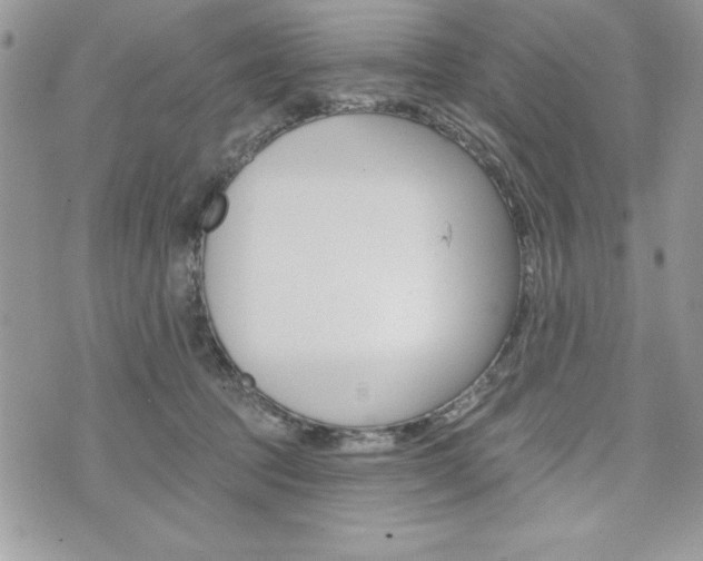 X0000076300369200609290735