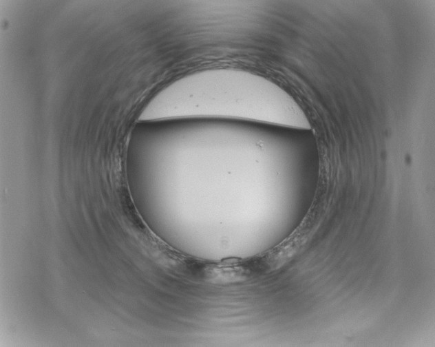 X0000076300372200609290735