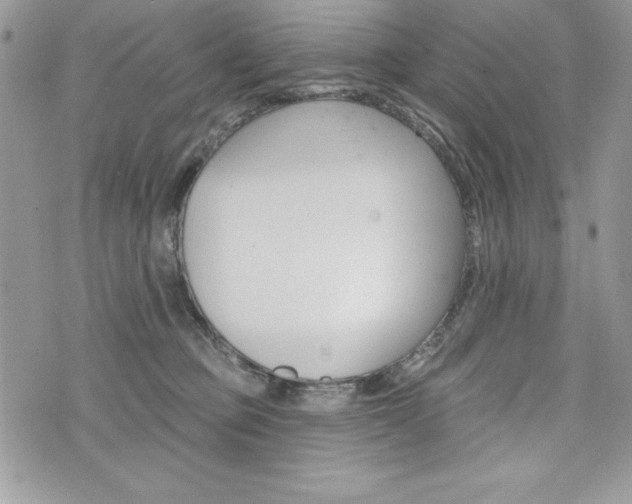 X0000076300373200609290735