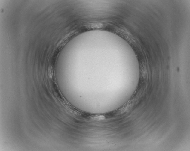 X0000076300374200609290735