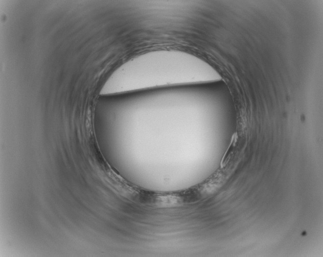 X0000076300376200609290735