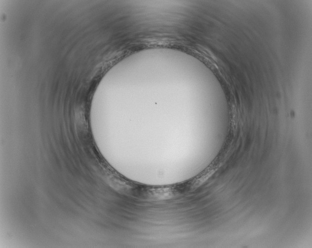 X0000076300377200609290735