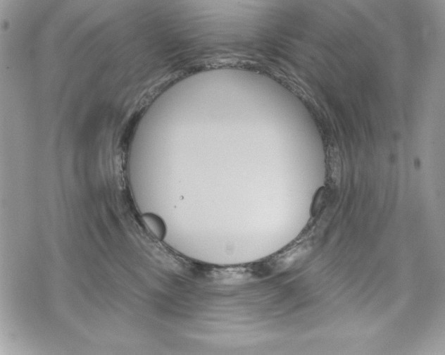 X0000076300378200609290735