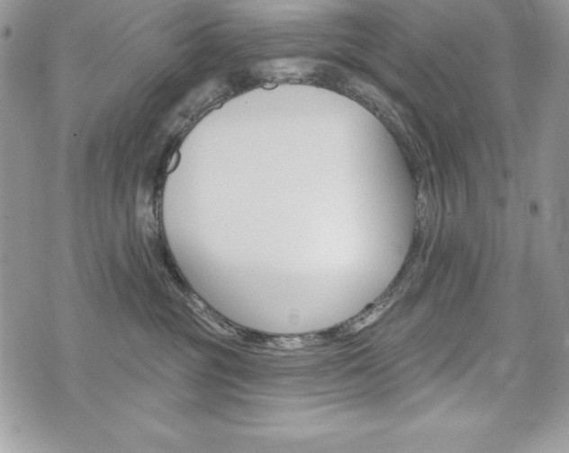 X0000076300381200609290735