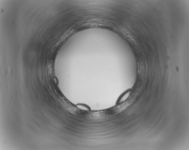 X0000076300382200609290735