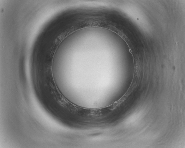 X0000076300383200609290735