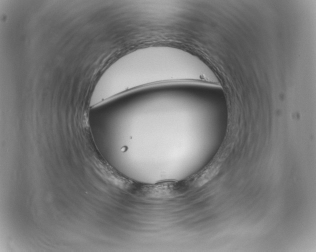 X0000076300384200609290735