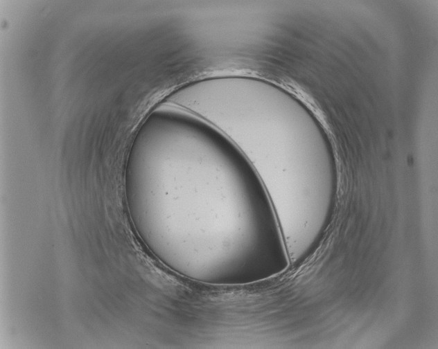 X0000076300385200609290734