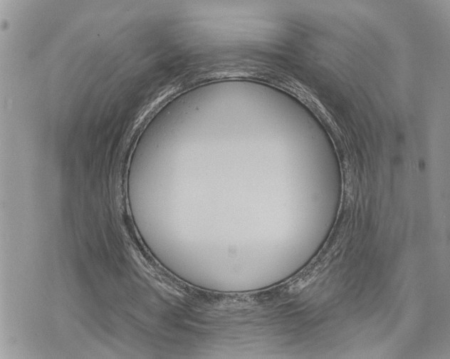 X0000076300386200609290734