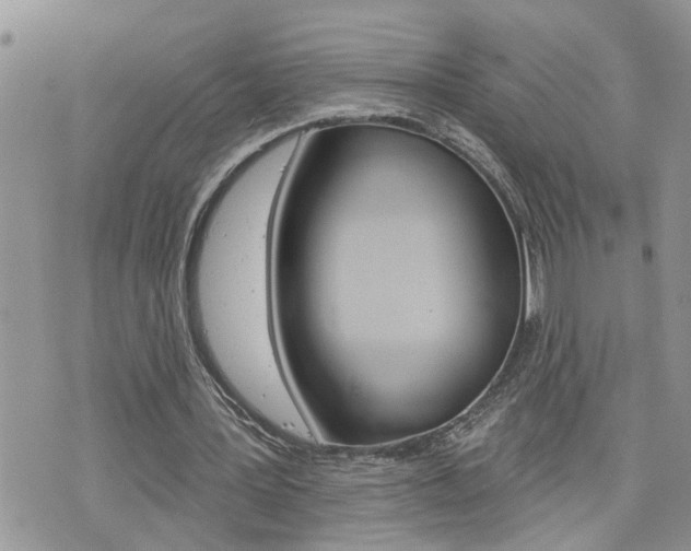 X0000076300387200609290734