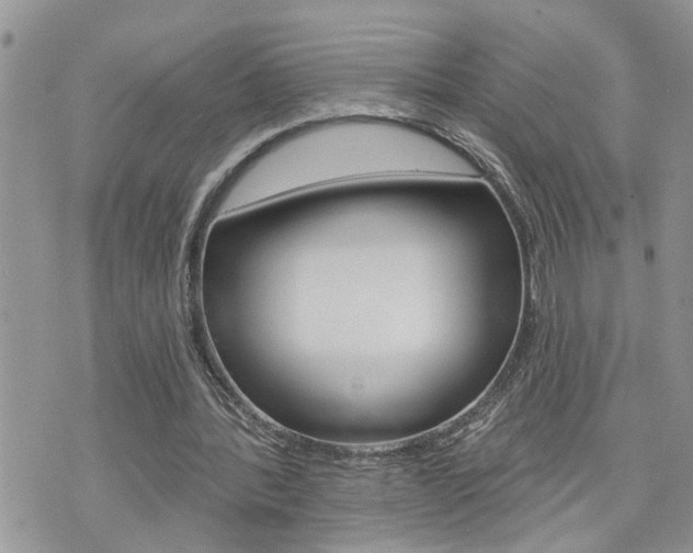 X0000076300388200609290734