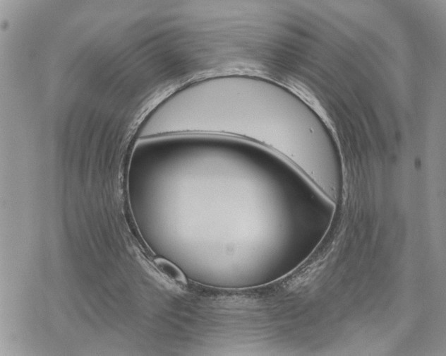 X0000076300389200609290734