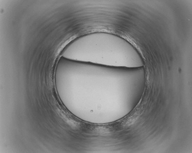 X0000076300390200609290734