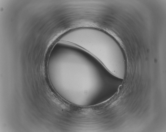 X0000076300391200609290734