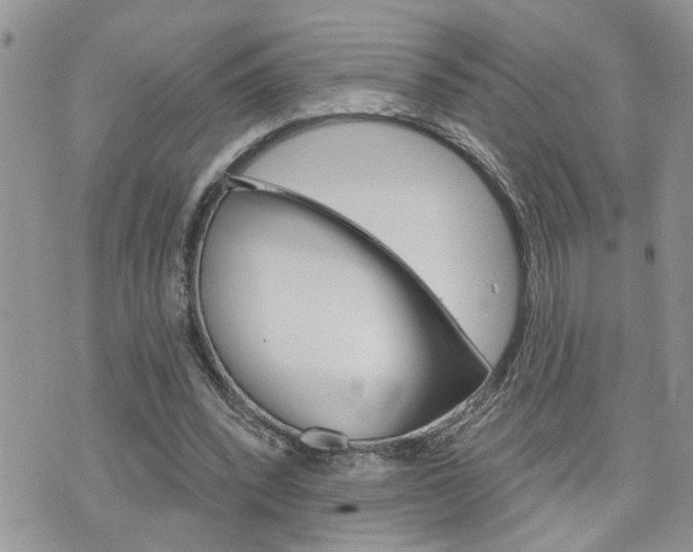 X0000076300392200609290734