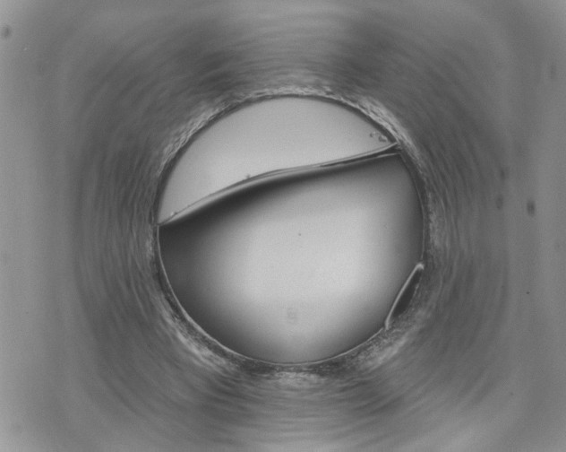 X0000076300393200609290734