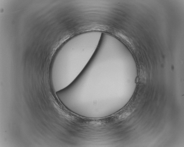 X0000076300394200609290734