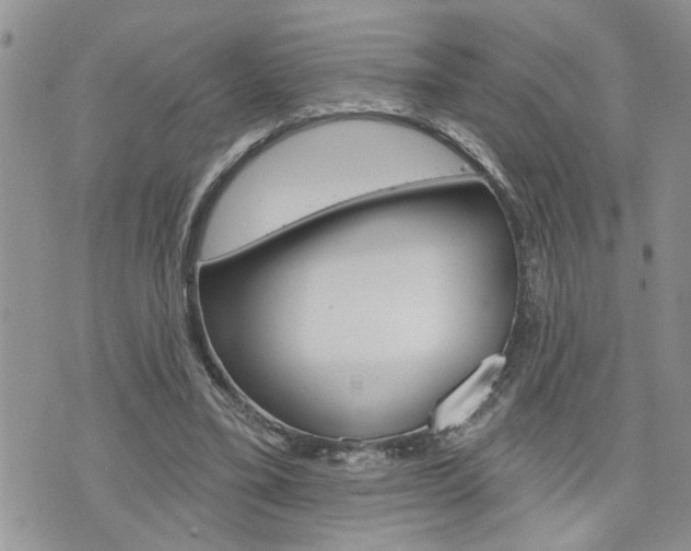 X0000076300395200609290734