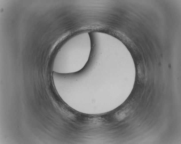 X0000076300396200609290734