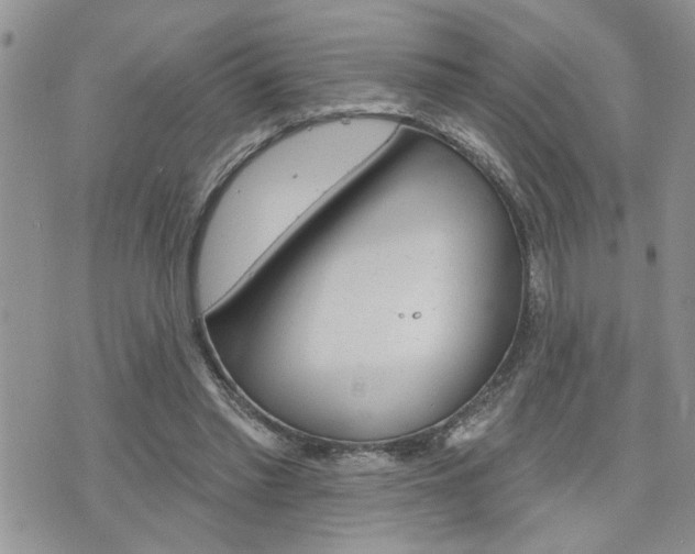 X0000076300397200609290734