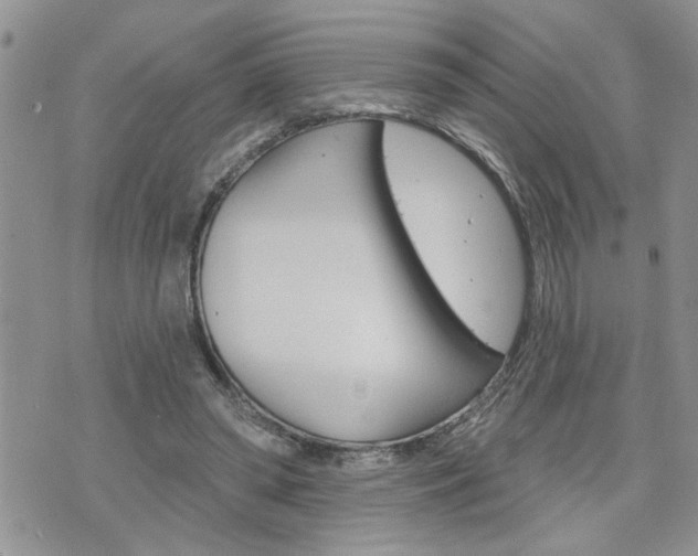 X0000076300398200609290734