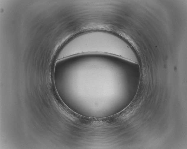 X0000076300399200609290734