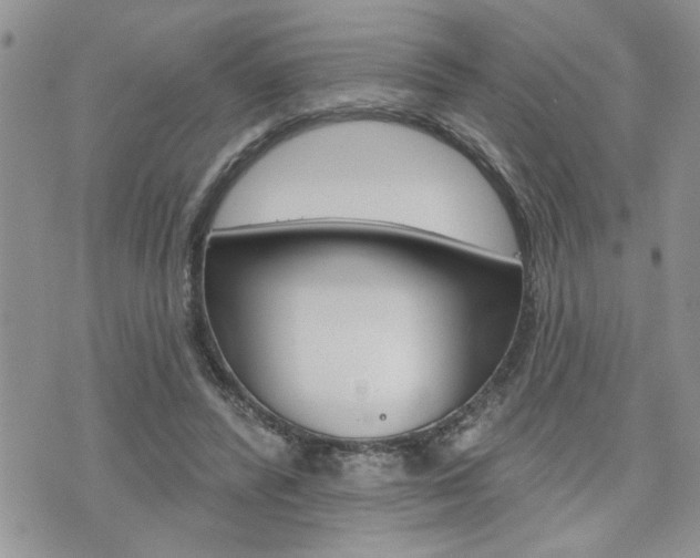 X0000076300400200609290734