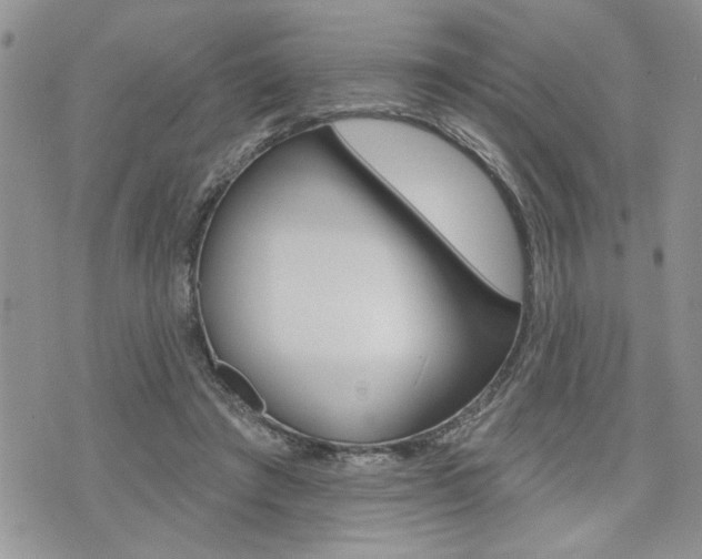 X0000076300401200609290734