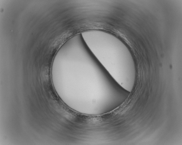 X0000076300402200609290734