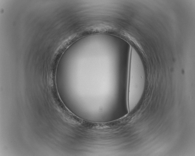 X0000076300403200609290734