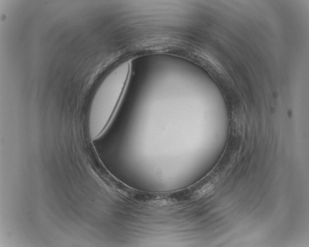 X0000076300404200609290734