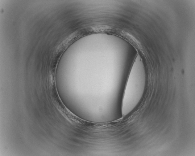 X0000076300405200609290734