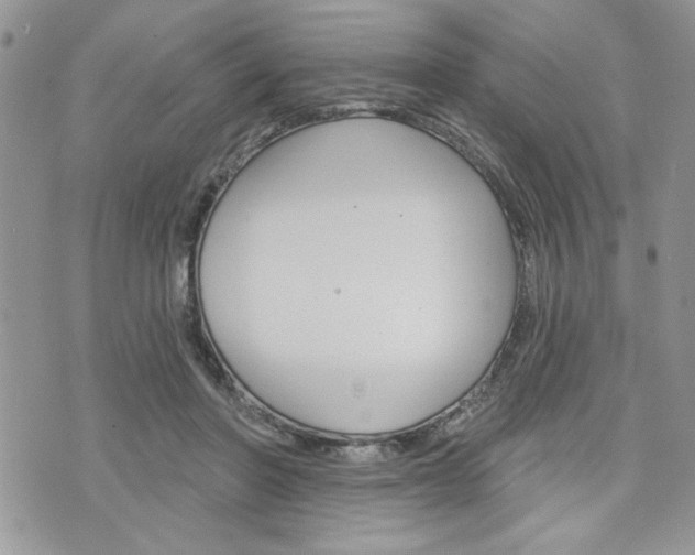 X0000076300406200609290734