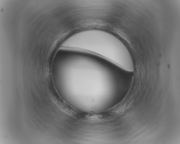 X0000076300407200609290734