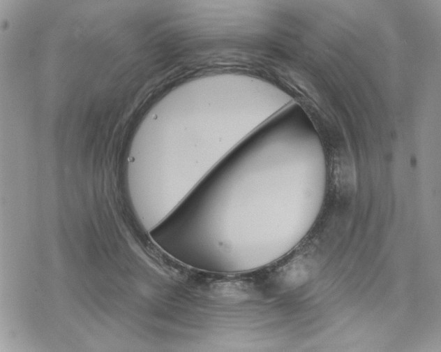 X0000076300408200609290734